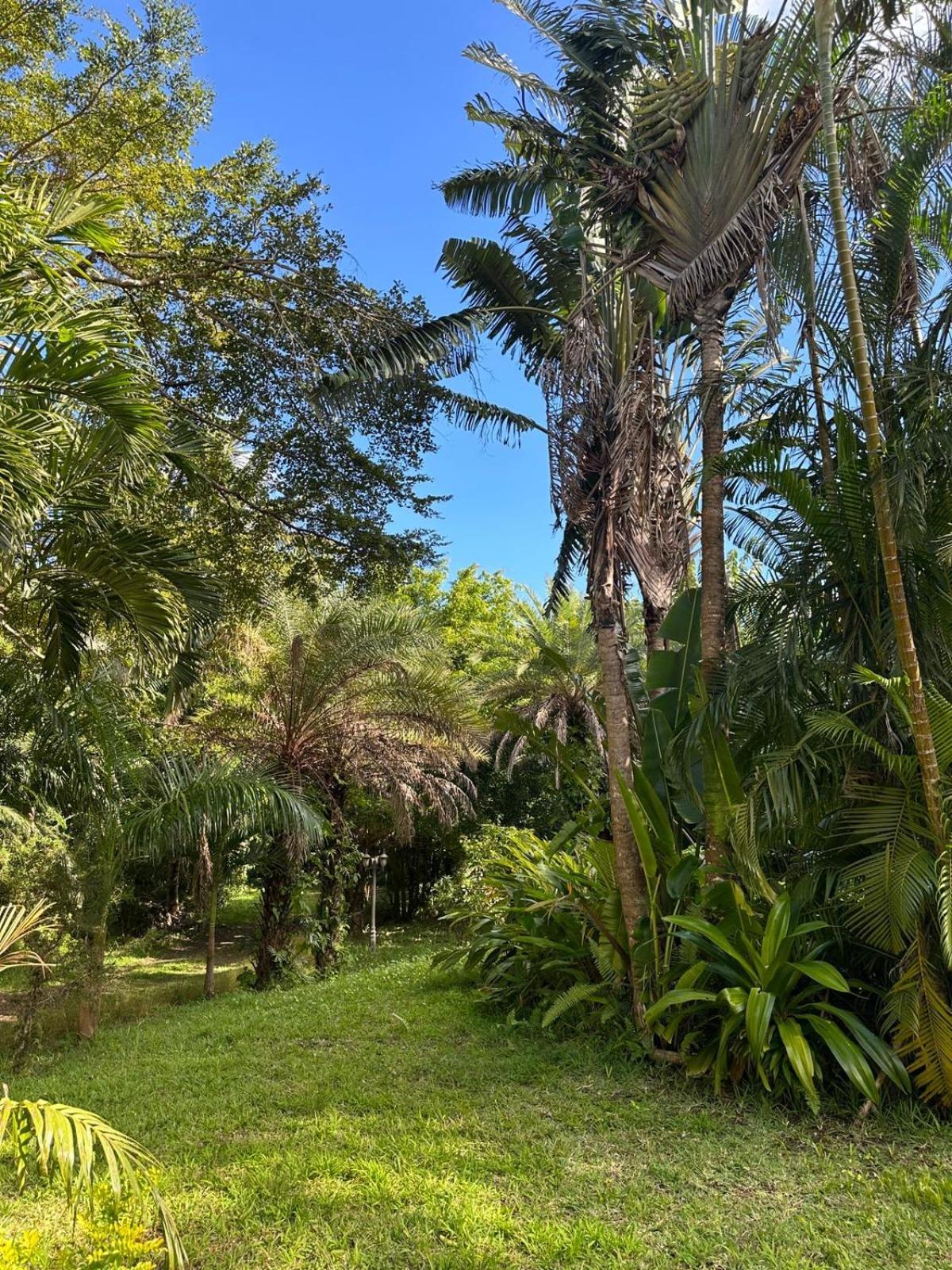 Domaine Du Cachet Bed & Breakfast Chamarel Exterior photo