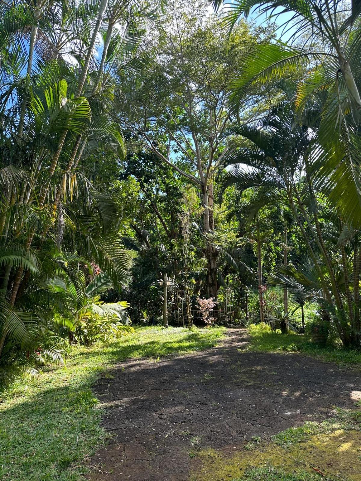 Domaine Du Cachet Bed & Breakfast Chamarel Exterior photo