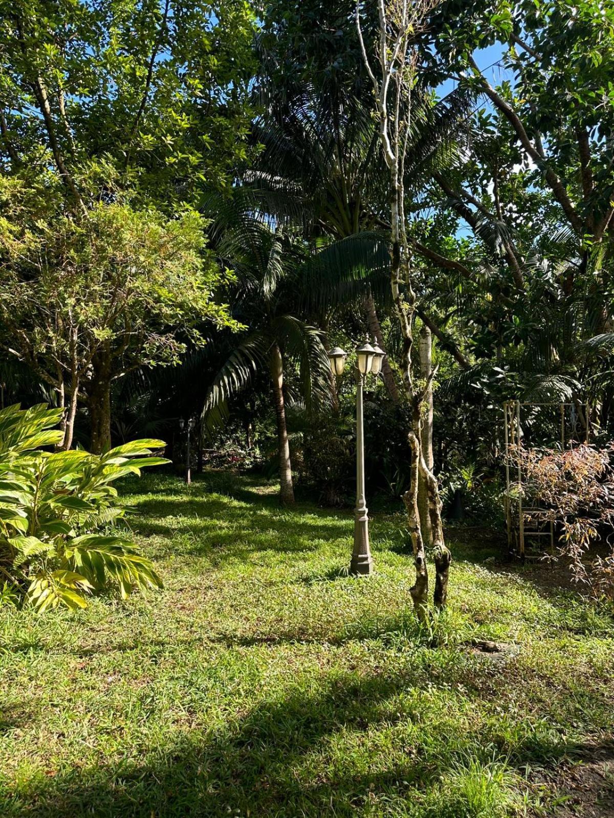 Domaine Du Cachet Bed & Breakfast Chamarel Exterior photo